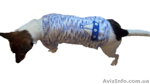 Одежда животным свитер Кораблик - <ro>Изображение</ro><ru>Изображение</ru> #6, <ru>Объявление</ru> #938696