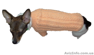 Одежда животным свитер Цепочки - <ro>Изображение</ro><ru>Изображение</ru> #5, <ru>Объявление</ru> #915566