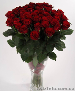 Розы 101 роза цветы низкие цены - <ro>Изображение</ro><ru>Изображение</ru> #1, <ru>Объявление</ru> #955672