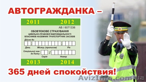 Обязательное автострахование осаго - Автогражданка  - <ro>Изображение</ro><ru>Изображение</ru> #2, <ru>Объявление</ru> #980439