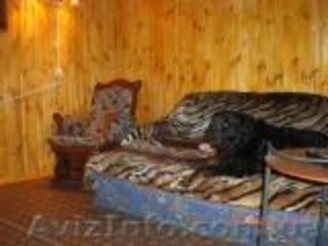 Сдам для отдыха уютную дачу в Святогорске  - <ro>Изображение</ro><ru>Изображение</ru> #5, <ru>Объявление</ru> #992565