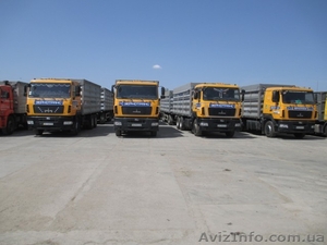 грузовые автоперевозки по украине - <ro>Изображение</ro><ru>Изображение</ru> #1, <ru>Объявление</ru> #1041794