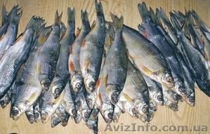 Дальневосточная вяленая рыба, красная и чёрная икра, живые раки, осетрина - <ro>Изображение</ro><ru>Изображение</ru> #2, <ru>Объявление</ru> #1036232