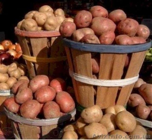 Продам картофель в наличии 22 тонны, цена 1.50. Звони! - <ro>Изображение</ro><ru>Изображение</ru> #1, <ru>Объявление</ru> #1150623