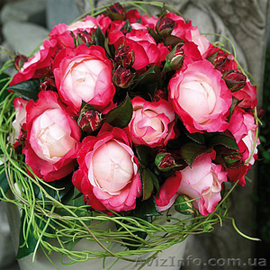 Саженцы роз, лучшие сорта, доставка по Украине. - <ro>Изображение</ro><ru>Изображение</ru> #3, <ru>Объявление</ru> #1300667