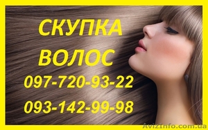 Продать Волосы от 40 см. Цена Волос. Купим волосы дорого.