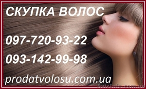 Волосы. Продать волосы дорого. Цена волос. Продажа волос Мариуполь. - <ro>Изображение</ro><ru>Изображение</ru> #1, <ru>Объявление</ru> #1575901