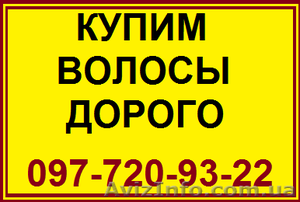 Волосы. Продажа волос в Николаеве. Скупка волос. Продать волосы дорого. Цена вол