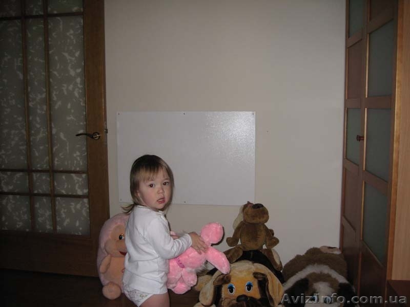 Инфракрасный обогреватель ЭЛТРОН ИП 500 - <ro>Изображение</ro><ru>Изображение</ru> #2, <ru>Объявление</ru> #1274