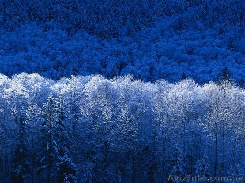 Точечный массаж - путь к здоровью и долголетию - <ro>Изображение</ro><ru>Изображение</ru> #3, <ru>Объявление</ru> #2592