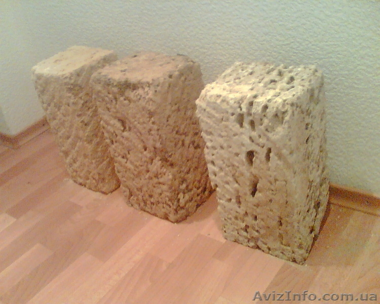 РАКУШЕЧНИК  М25 М35 - <ro>Изображение</ro><ru>Изображение</ru> #3, <ru>Объявление</ru> #9935