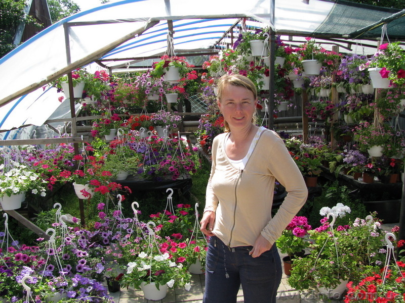 Комнатные цветы коллекционные от ELFAGOR - <ro>Изображение</ro><ru>Изображение</ru> #1, <ru>Объявление</ru> #16027