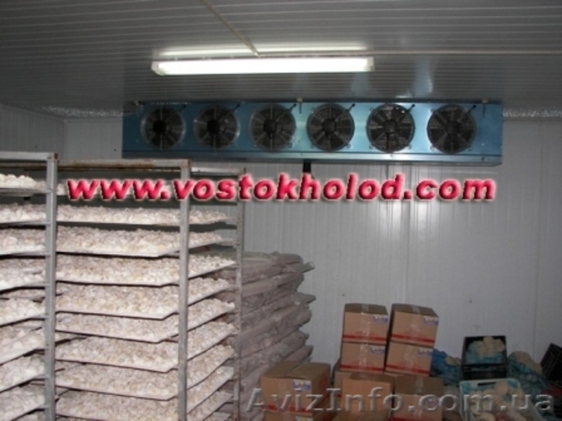 Промышленное холодильное оборудование Донецк - <ro>Изображение</ro><ru>Изображение</ru> #2, <ru>Объявление</ru> #52858