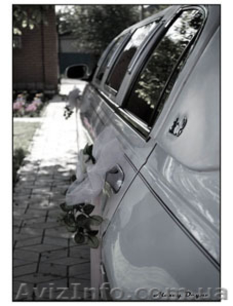 Свадебный фотограф Донецк - <ro>Изображение</ro><ru>Изображение</ru> #4, <ru>Объявление</ru> #70396