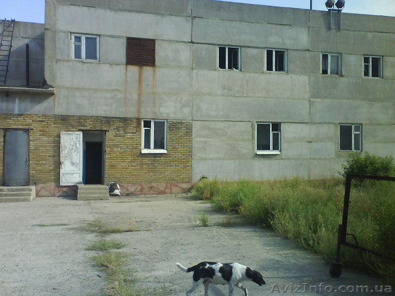 продается Мясокомбинат - <ro>Изображение</ro><ru>Изображение</ru> #5, <ru>Объявление</ru> #70059