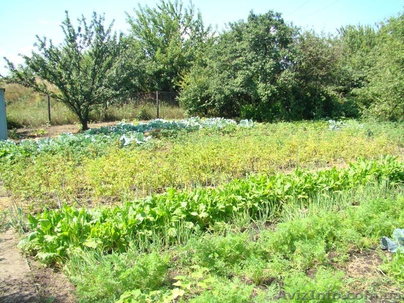 продам дачу. Макеевская объездная - <ro>Изображение</ro><ru>Изображение</ru> #5, <ru>Объявление</ru> #78103