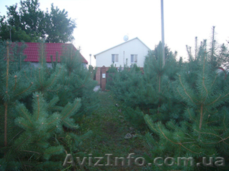 Сдам дом Святогорск - <ro>Изображение</ro><ru>Изображение</ru> #3, <ru>Объявление</ru> #78634