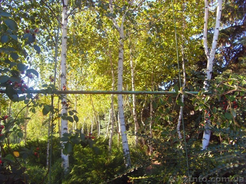 Дом в Урзуфе - <ro>Изображение</ro><ru>Изображение</ru> #3, <ru>Объявление</ru> #2122