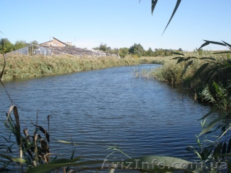 Продам фермерское хозяйство.  - <ro>Изображение</ro><ru>Изображение</ru> #5, <ru>Объявление</ru> #108315