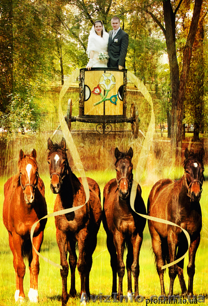 ВНИМАНИЕ АКЦИЯ! Видеосъёмка корпоративов, праздничных мероприятий - <ro>Изображение</ro><ru>Изображение</ru> #2, <ru>Объявление</ru> #126819