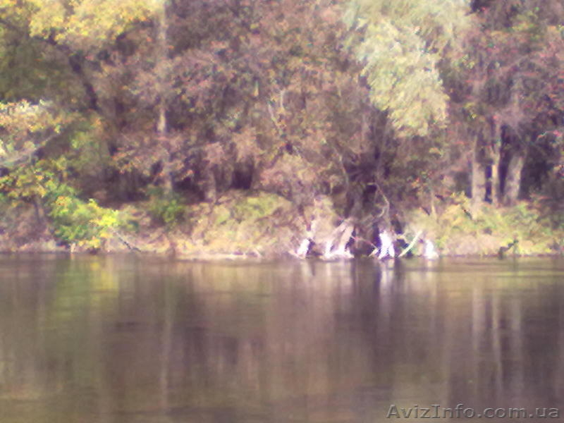 Продам дачу, с. Пискуновка, Славянский район - <ro>Изображение</ro><ru>Изображение</ru> #4, <ru>Объявление</ru> #149019