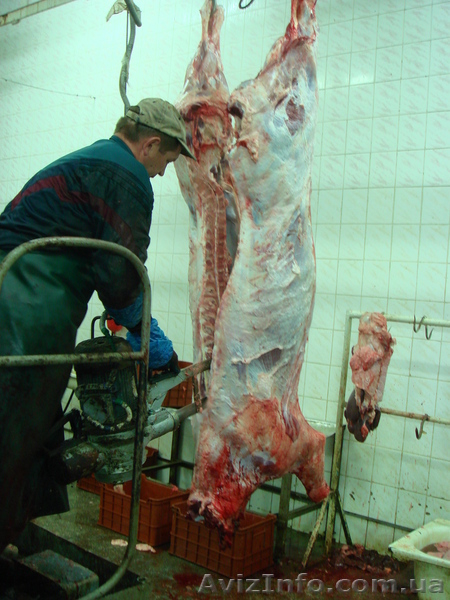 Мясоперерабатывающий комплекс (бойня) - <ro>Изображение</ro><ru>Изображение</ru> #2, <ru>Объявление</ru> #208216