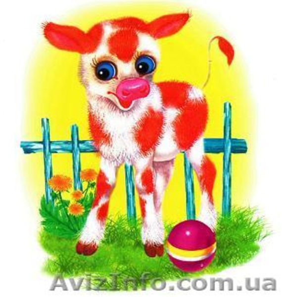 продам БВМД , премиксы , комбикорм cо склада в донецке , дост по Украи - <ro>Изображение</ro><ru>Изображение</ru> #2, <ru>Объявление</ru> #195476