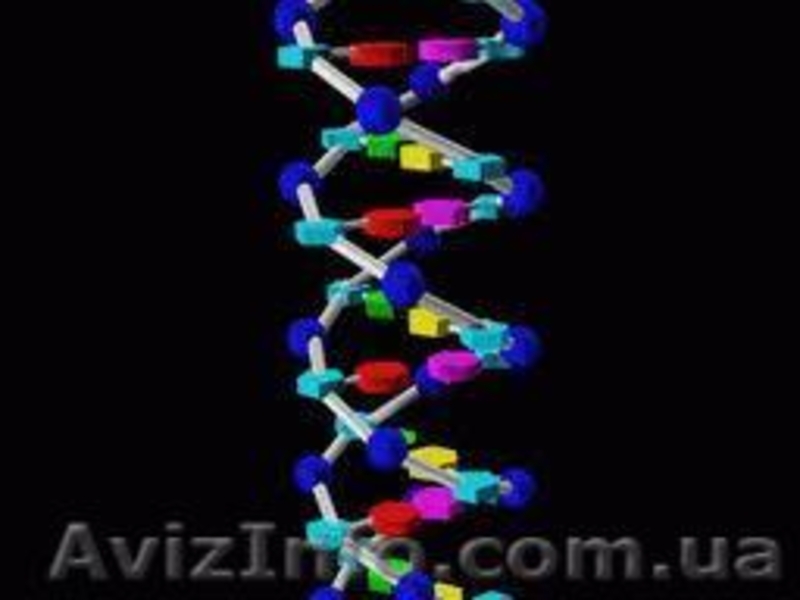 продам премиксы, БВМД, витаминные бленды - <ro>Изображение</ro><ru>Изображение</ru> #4, <ru>Объявление</ru> #189358