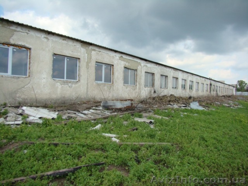 Коммерческая недвижимость, Продажа - <ro>Изображение</ro><ru>Изображение</ru> #3, <ru>Объявление</ru> #222243