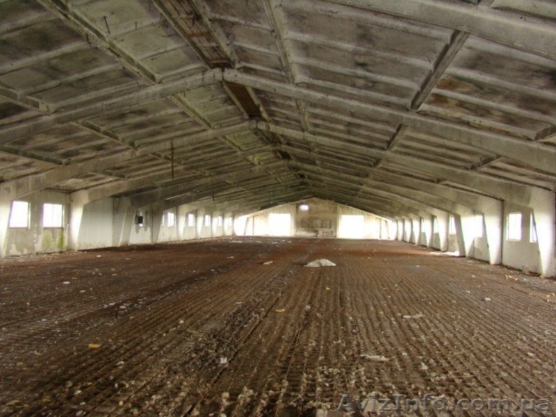 Коммерческая недвижимость, Продажа - <ro>Изображение</ro><ru>Изображение</ru> #8, <ru>Объявление</ru> #222243