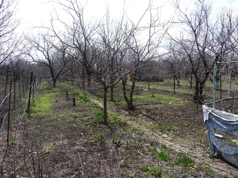 2-х эт.дача в Пролетарском районе - <ro>Изображение</ro><ru>Изображение</ru> #6, <ru>Объявление</ru> #238289