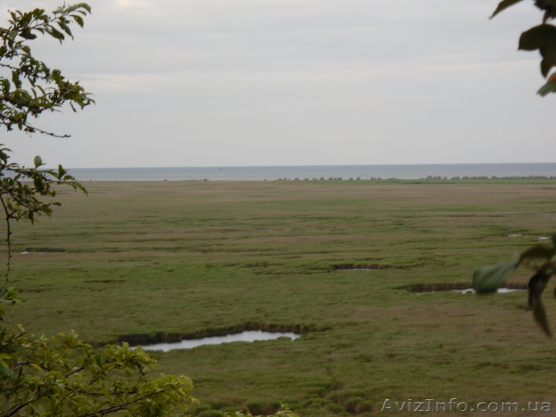 reklama-kurier@mail.ru  097-226-58-43 Сергей - <ro>Изображение</ro><ru>Изображение</ru> #3, <ru>Объявление</ru> #224287