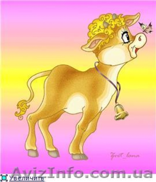 продам премиксы, БВМД, витаминные бленды - <ro>Изображение</ro><ru>Изображение</ru> #6, <ru>Объявление</ru> #189358