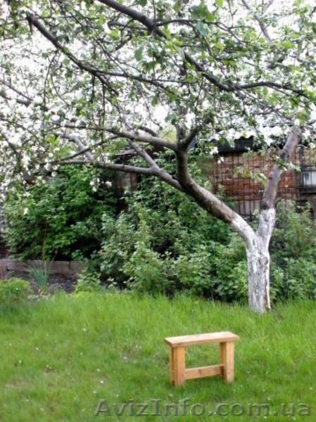 Дача (дачный домик с земельным участком - 6 соток) - <ro>Изображение</ro><ru>Изображение</ru> #3, <ru>Объявление</ru> #221090