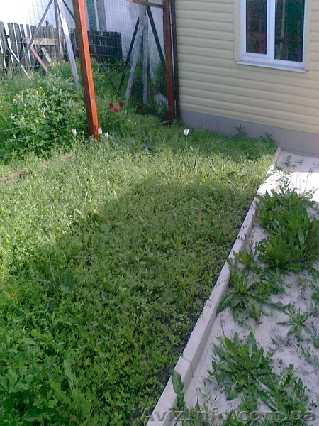 Продам квартиру на земле 50 кв.м. Пролетарский 26000 у.е.отл.состояние - <ro>Изображение</ro><ru>Изображение</ru> #1, <ru>Объявление</ru> #270448