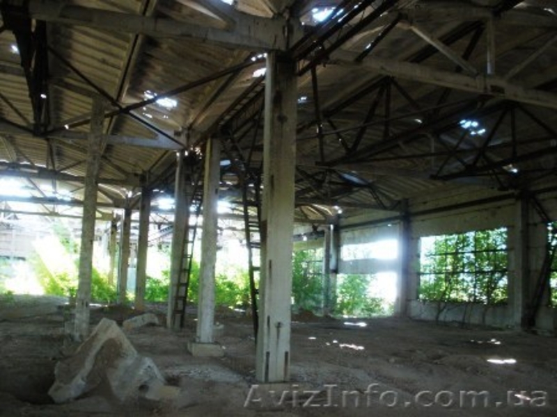 Недострой цеха, под производство, 6500 кв.м. - <ro>Изображение</ro><ru>Изображение</ru> #6, <ru>Объявление</ru> #271421