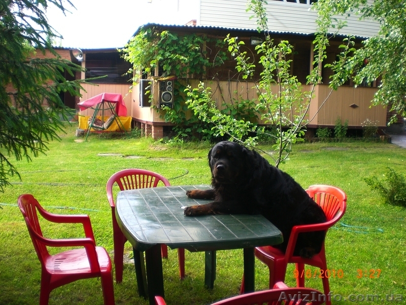 Отдых на уютной даче в деревне Студенок  и 2 ком.квартира в центре   - <ro>Изображение</ro><ru>Изображение</ru> #1, <ru>Объявление</ru> #299530