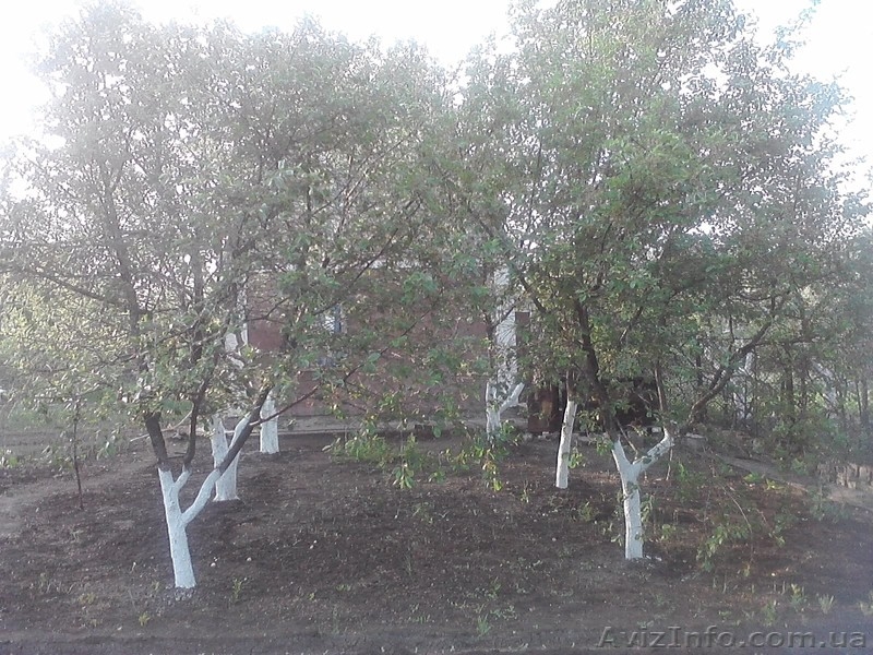 ПРОДАМ ДАЧУ  Товарищество  СТРОИТЕЛЬ - <ro>Изображение</ro><ru>Изображение</ru> #3, <ru>Объявление</ru> #301190