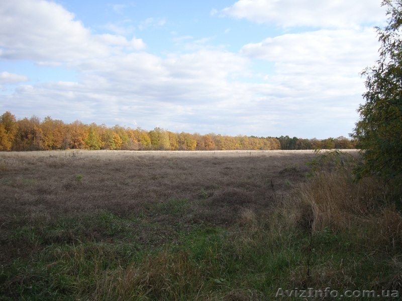 Продам участок Красный Лиман - <ro>Изображение</ro><ru>Изображение</ru> #1, <ru>Объявление</ru> #425969