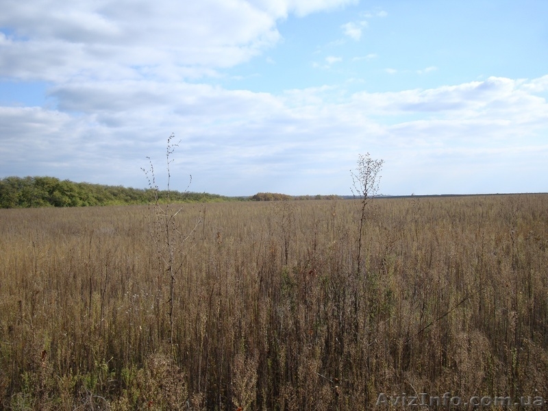 Продам участок Красный Лиман - <ro>Изображение</ro><ru>Изображение</ru> #2, <ru>Объявление</ru> #425969