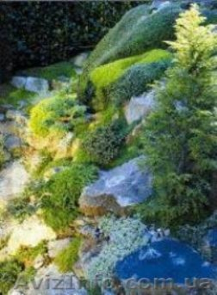 Предлагаем настенные пленочные обогреватели в ассортименте - <ro>Изображение</ro><ru>Изображение</ru> #1, <ru>Объявление</ru> #436143