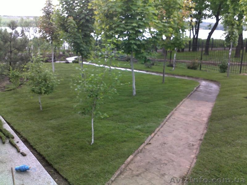 рулонные газоны - <ro>Изображение</ro><ru>Изображение</ru> #2, <ru>Объявление</ru> #530023