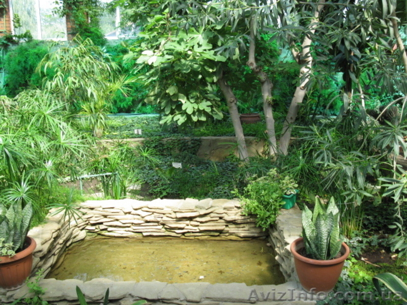 Ландшафтный дизайн, благоустройство, озеленение - <ro>Изображение</ro><ru>Изображение</ru> #4, <ru>Объявление</ru> #552294