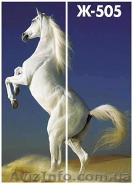 Шкаф-купе двухдверный «А-1» - <ro>Изображение</ro><ru>Изображение</ru> #3, <ru>Объявление</ru> #557930