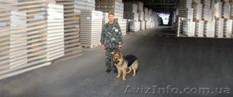 Охранное агентство Троя - <ro>Изображение</ro><ru>Изображение</ru> #6, <ru>Объявление</ru> #542985