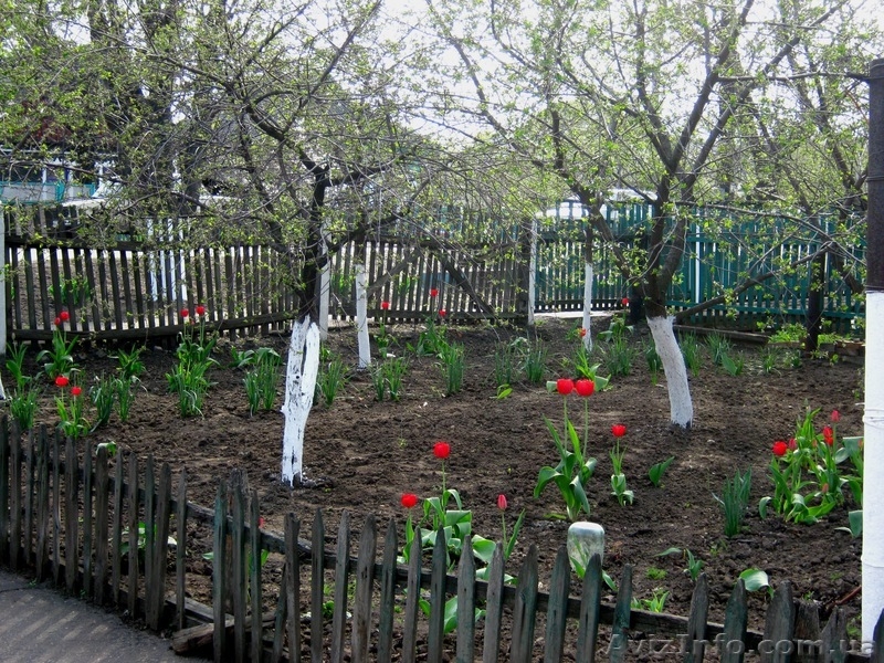 Продам хороший дом с участком - <ro>Изображение</ro><ru>Изображение</ru> #3, <ru>Объявление</ru> #647526