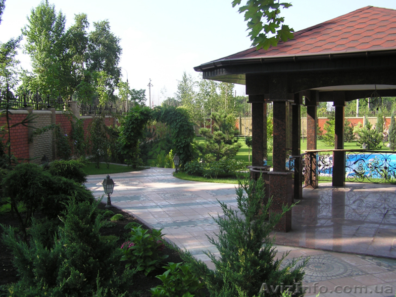 Элитные растения - <ro>Изображение</ro><ru>Изображение</ru> #4, <ru>Объявление</ru> #645173