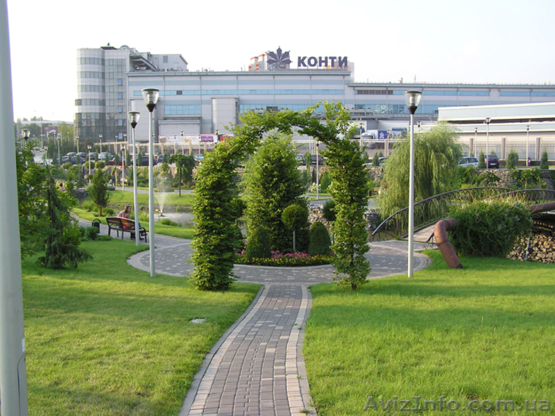 Элитные растения - <ro>Изображение</ro><ru>Изображение</ru> #5, <ru>Объявление</ru> #645173