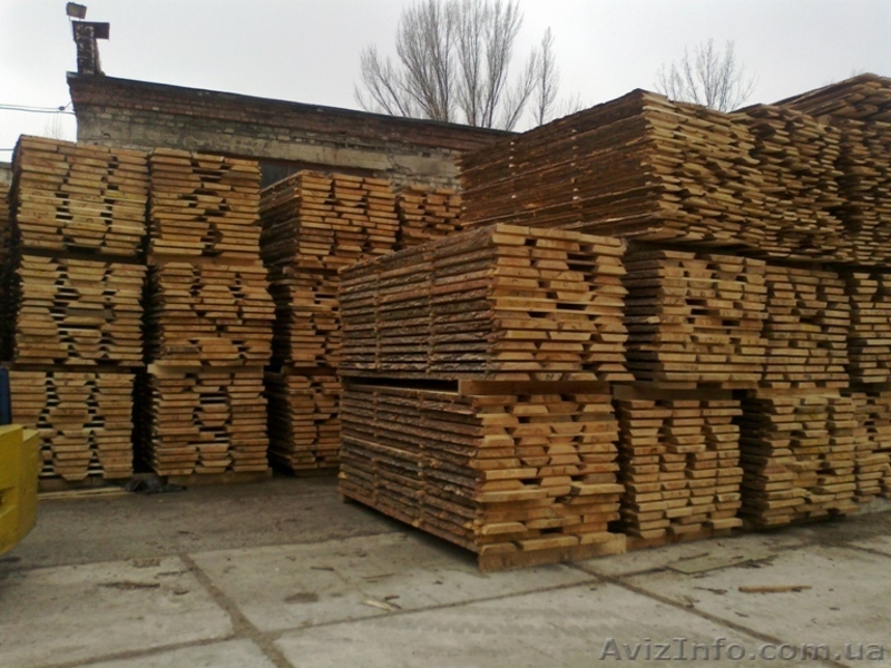 сосна столярная  - <ro>Изображение</ro><ru>Изображение</ru> #1, <ru>Объявление</ru> #653070