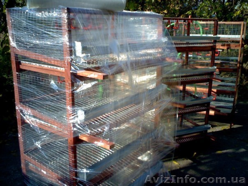 Купить КЛЕТКИ для перепелов в Украине. Доставка. - <ro>Изображение</ro><ru>Изображение</ru> #3, <ru>Объявление</ru> #644154
